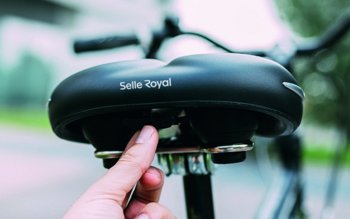 5119DECA65301_5119DECA65301_7_selle-royal_FREEDOM-INTEGRATED-CLIP-SYSTEM.jpg