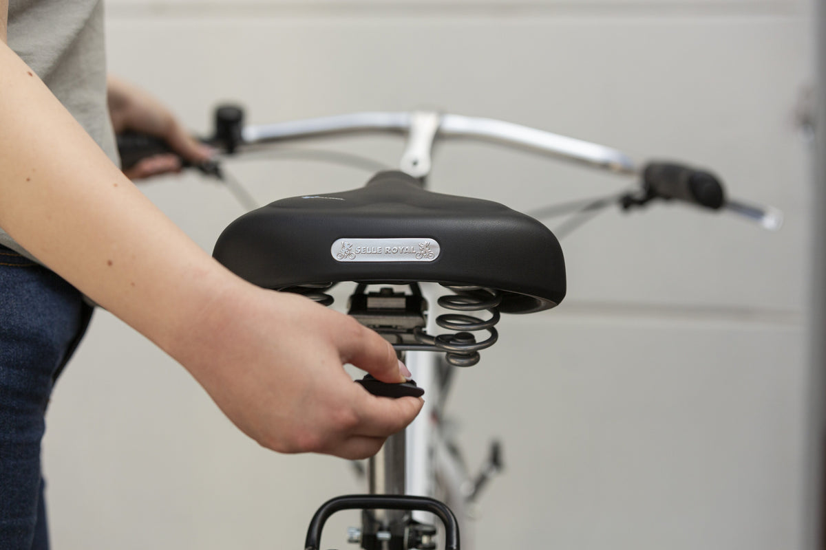 82615G2A18132_82615G2A18132_7_selle-royal_HOLLAND-ICS.jpg