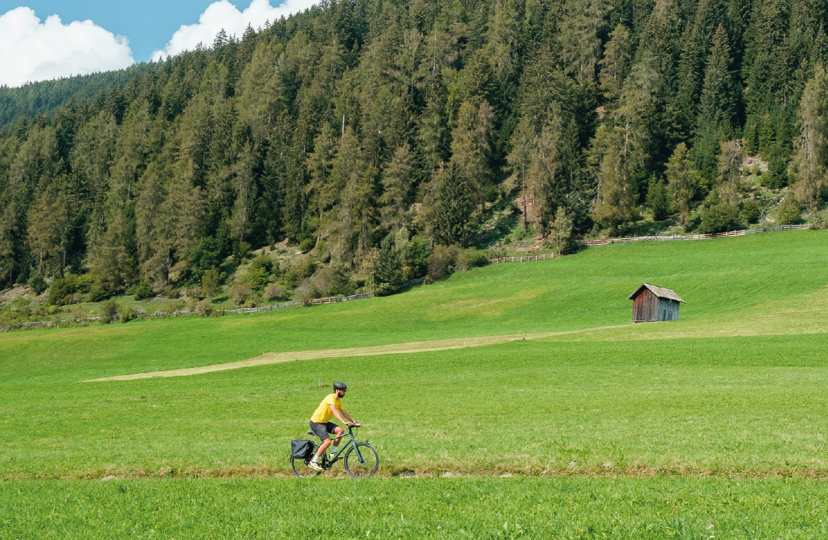 A cyclist riding in the nature | Blog Selle Royal